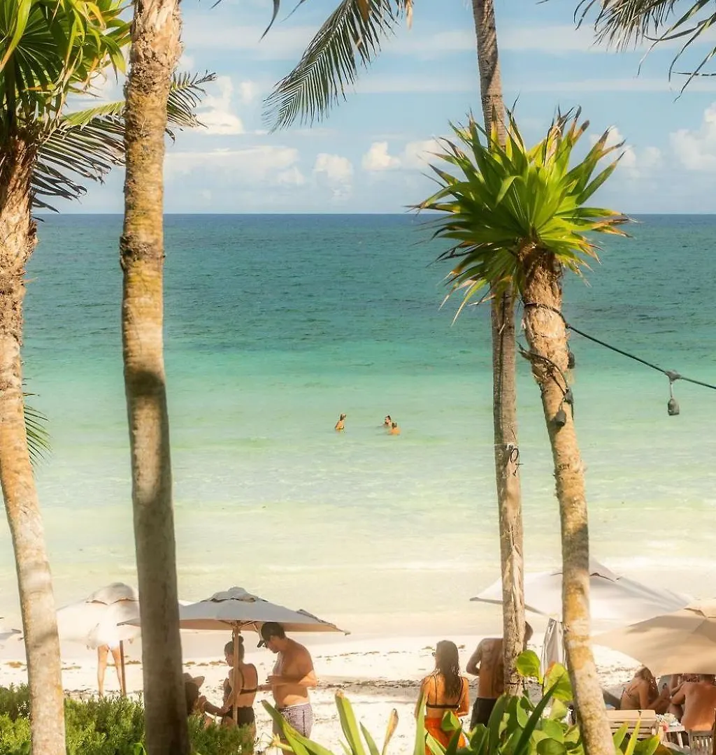 Zama Condo With Rooftop Pool, Gym, Coworking, Cinema Tulum 0*,  México
