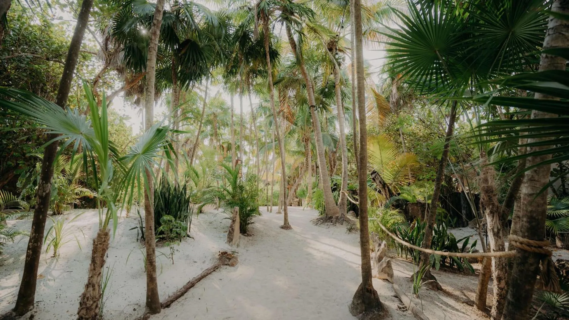 Zama Condo With Rooftop Pool, Gym, Coworking, Cinema Tulum 0*,  México
