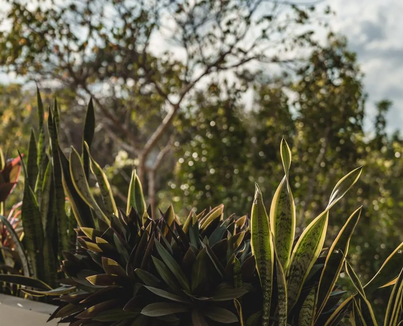Zama Condo With Rooftop Pool, Gym, Coworking, Cinema Tulum